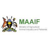 MAAIF_Logo